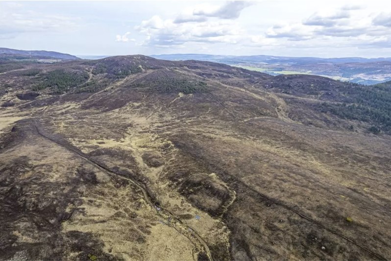 Scottish Estate NC - Boggy Peat.jpg